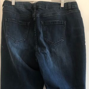 Lane Bryant Genius Fit Boyfriend Fit Jeans